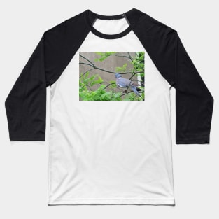 Pigeon Outside the Church Window Baseball T-Shirt